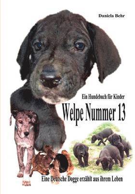 Welpe Nummer 13 Ein Hundekind erzhlt aus seinem Leben Die Geschichte einer Deutschen Dogge 1