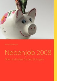 bokomslag Nebenjob 2008