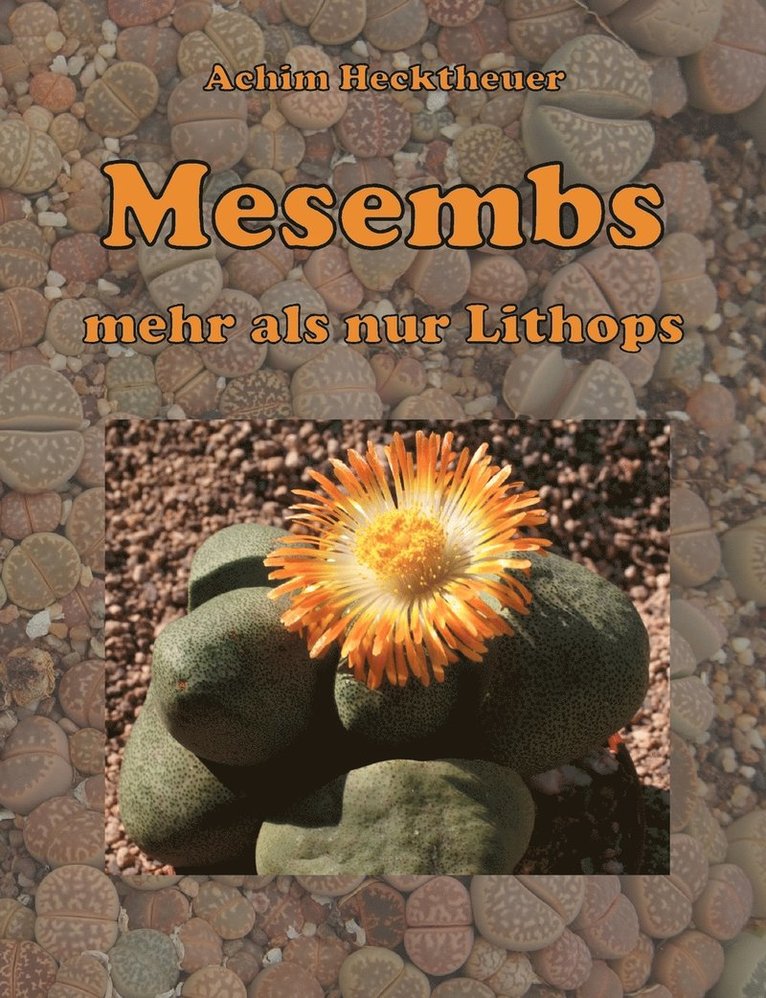 Mesembs - mehr als nur Lithops 1