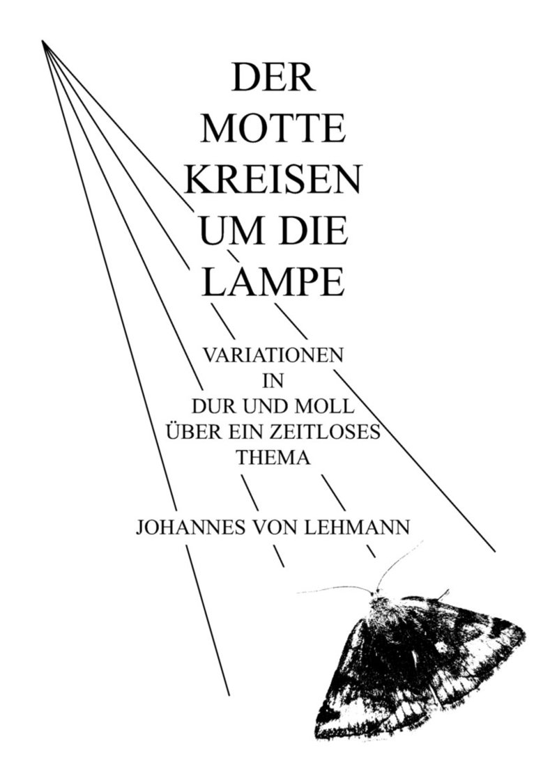 Der Motte Kreisen um die Lampe 1