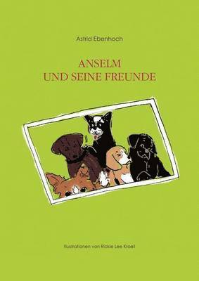 bokomslag Anselm und seine Freunde