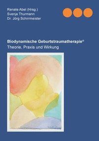 bokomslag Biodynamischen Geburtstraumatherapie(R)