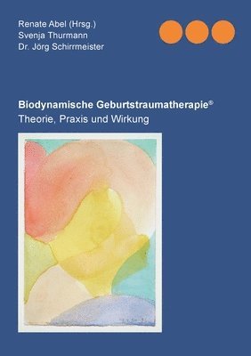 bokomslag Biodynamische Geburtstraumatherapie(R)