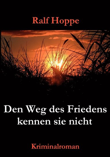 Ralf Hoppe - Den Weg des Friedens kennen sie nicht, Häftad