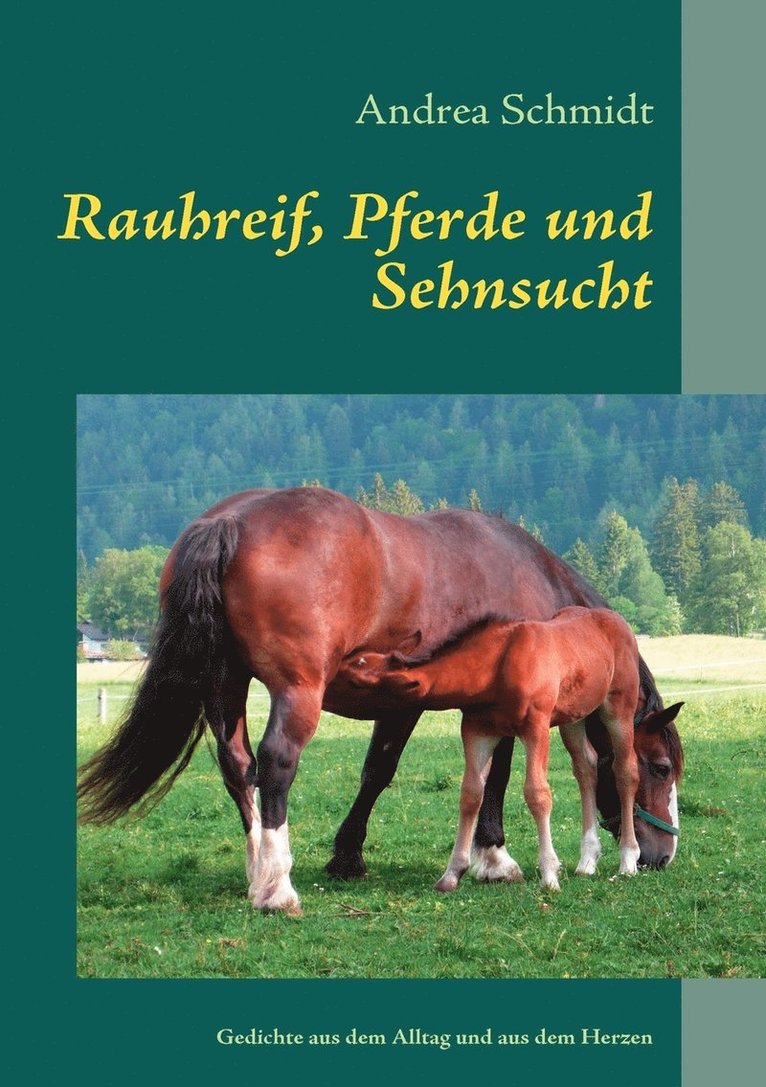 Rauhreif, Pferde und Sehnsucht 1