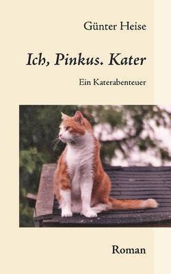 bokomslag Ich, Pinkus. Kater