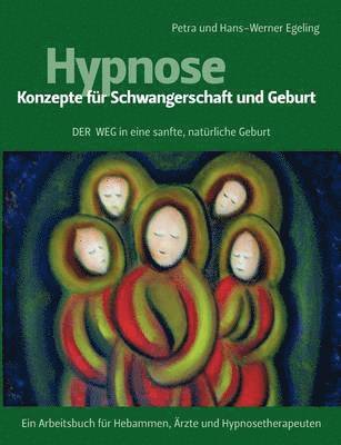 bokomslag Hypnose - Konzepte fr Schwangerschaft und Geburt