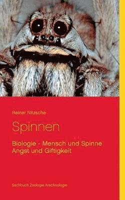 Spinnen 1