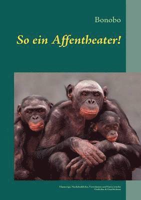 bokomslag So ein Affentheater!