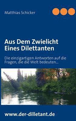 Matthias Schicker - Aus Dem Zwielicht Eines Dilettanten, Häftad