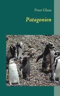 bokomslag Patagonien