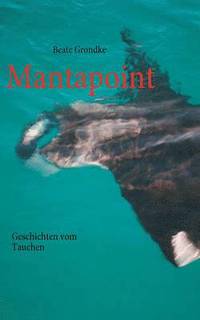 bokomslag Mantapoint