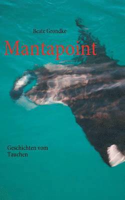 bokomslag Mantapoint