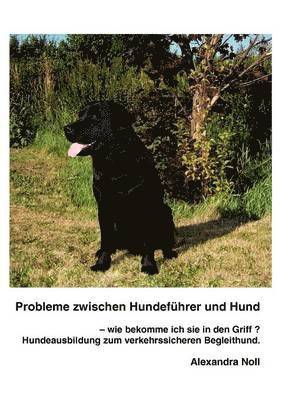 bokomslag Probleme zwischen Hundefhrer und Hund - wie bekomme ich sie in den Griff ?