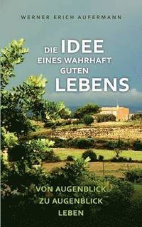 bokomslag Idee eines wahrhaft guten Lebens