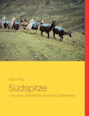 bokomslag Südspitze
