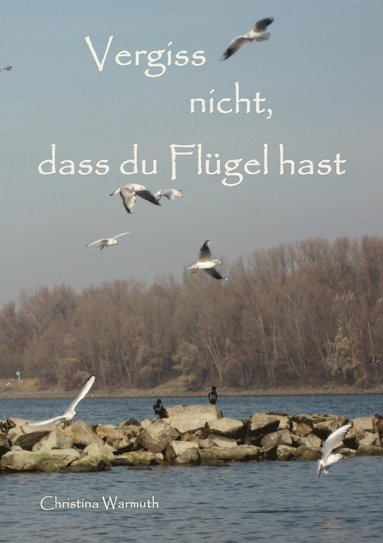 bokomslag Vergiss nicht, dass du Flügel hast