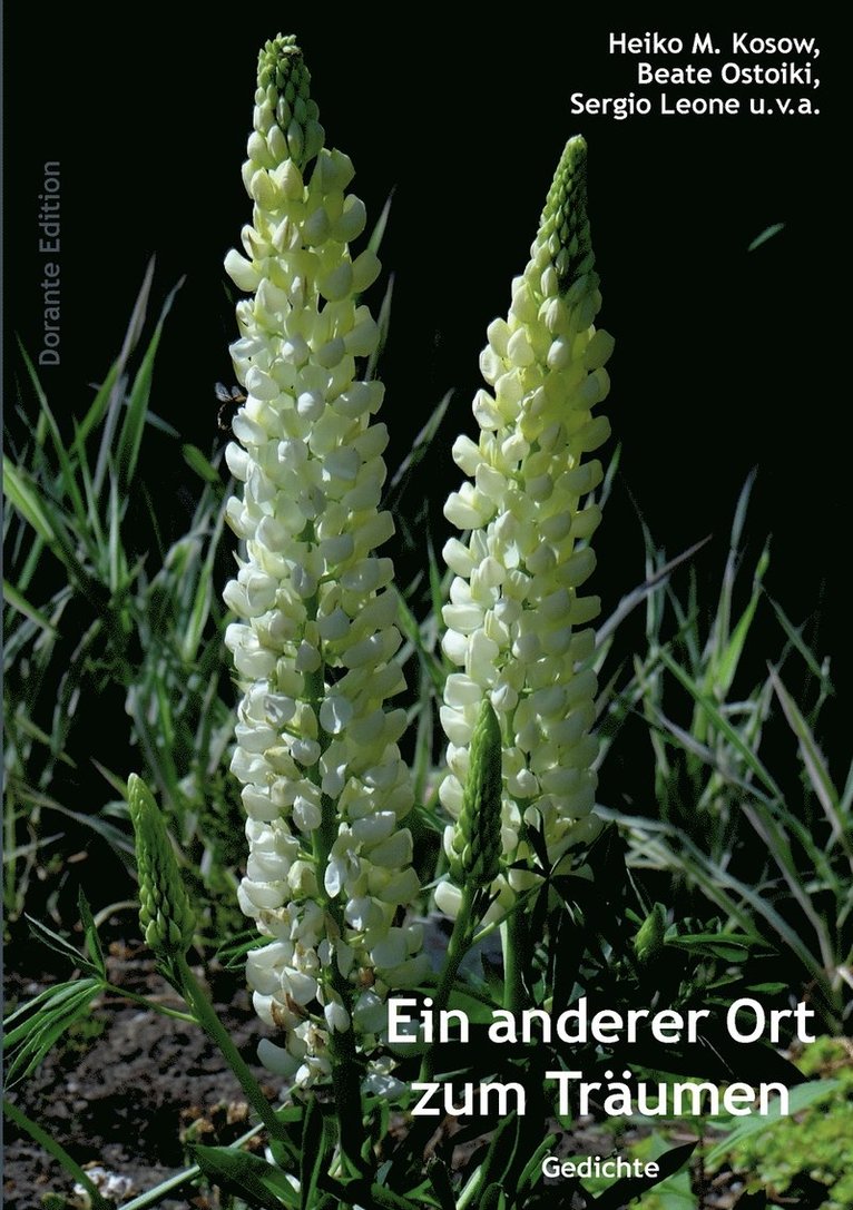 Heiko M Kosow, Beate Ostoiki, Sergio Leone, Heiko M. Kosow - anderer Ort zum Träumen, Häftad