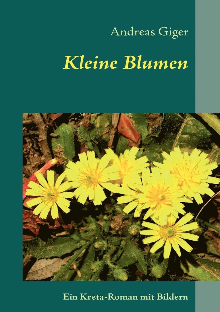 Kleine Blumen 1