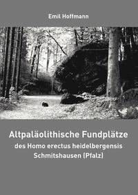 bokomslag Altpaläolithische Fundplätze des Homo erectus heidelbergensis Schmitshausen (Pfalz)