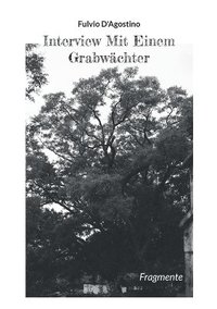 bokomslag Interview Mit Einem Grabwchter