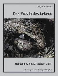 bokomslag Das Puzzle des Lebens - Band 1