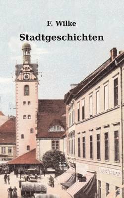 Florian Wilke - Stadtgeschichten, Häftad