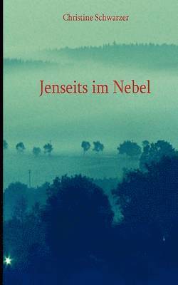 Christine Schwarzer - Jenseits im Nebel, Häftad