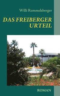 bokomslag Das Freiberger Urteil