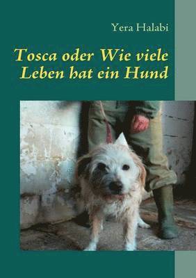 bokomslag Tosca oder Wie viele Leben hat ein Hund