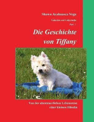 bokomslag Die Geschichte von Tiffany