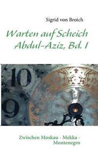 bokomslag Warten Auf Scheich Abdul-Aziz