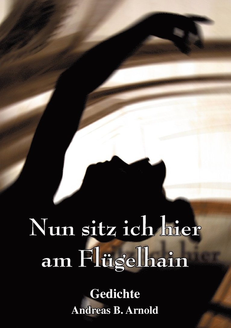 Nun sitz ich hier am Flgelhain 1