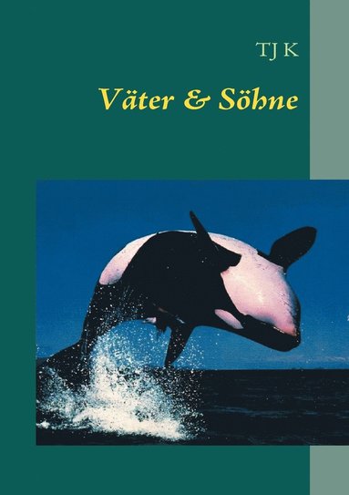 bokomslag Väter & Söhne