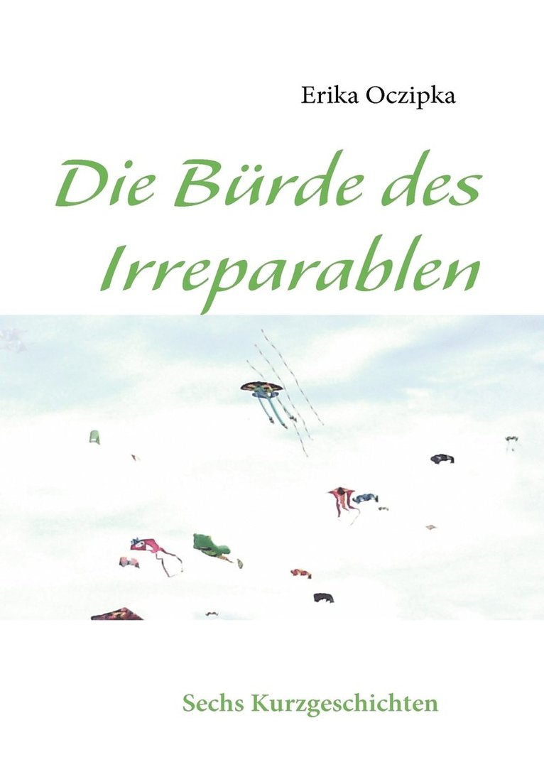 Die Brde des Irreparablen 1