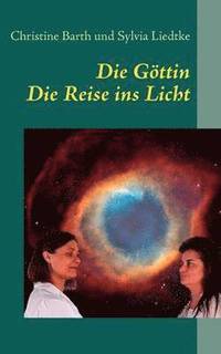 bokomslag Die Goettin