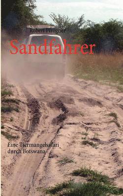 bokomslag Sandfahrer