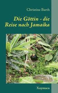 bokomslag Die Gttin -