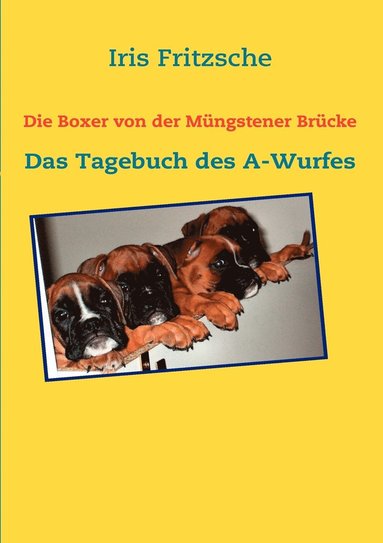 bokomslag Die Boxer von der Mngstener Brcke