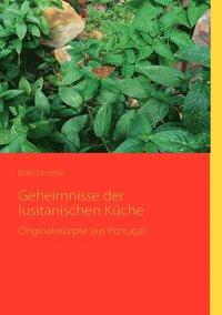 bokomslag Geheimnisse der lusitanischen Kche