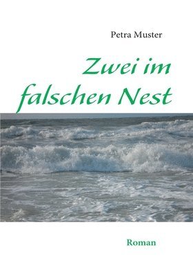 bokomslag Zwei im falschen Nest