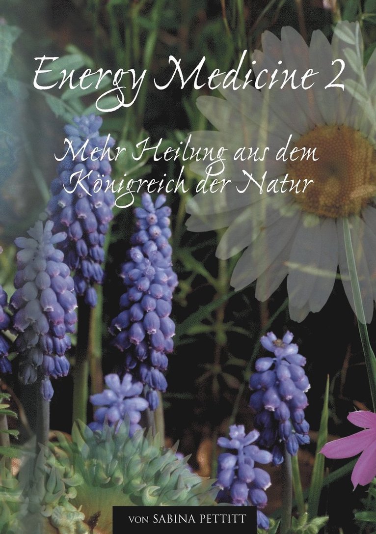 Energy Medicine 2 1