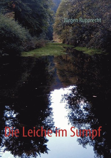 bokomslag Leiche im Sumpf