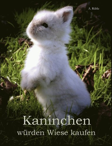 bokomslag Kaninchen würden Wiese kaufen