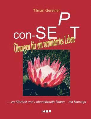 con-SEPT - Übungen für ein verändertes Leben: ... zu Klarheit und Lebensfreude finden - mit Konzept