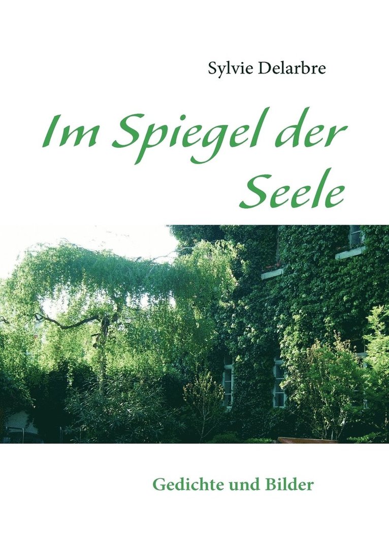 Sylvie Delarbre - Im Spiegel der Seele, Häftad