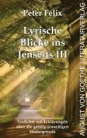 bokomslag Lyrische Blicke ins Jenseits III