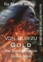 bokomslag Von Blei zu Gold