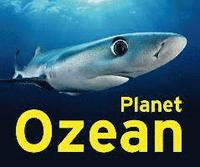 bokomslag Planet Ozean
