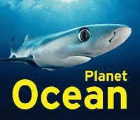 bokomslag Planet Ocean
